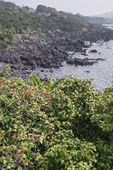 五島の風景