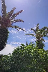 五島の風景