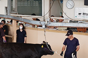 五島牛のせり市