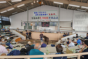 五島牛のせり市