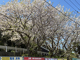 釣り日記