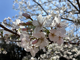 釣り日記