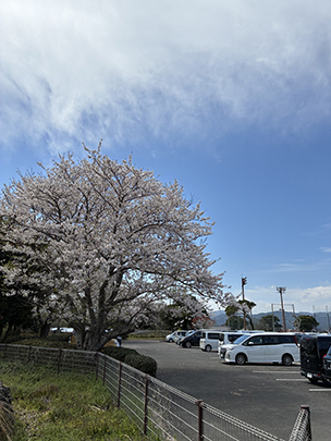 釣り日記