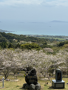 釣り日記