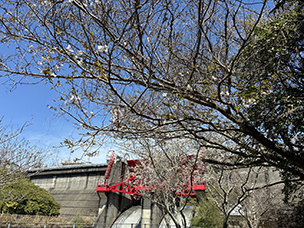 釣り日記