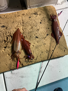 ひな祭り